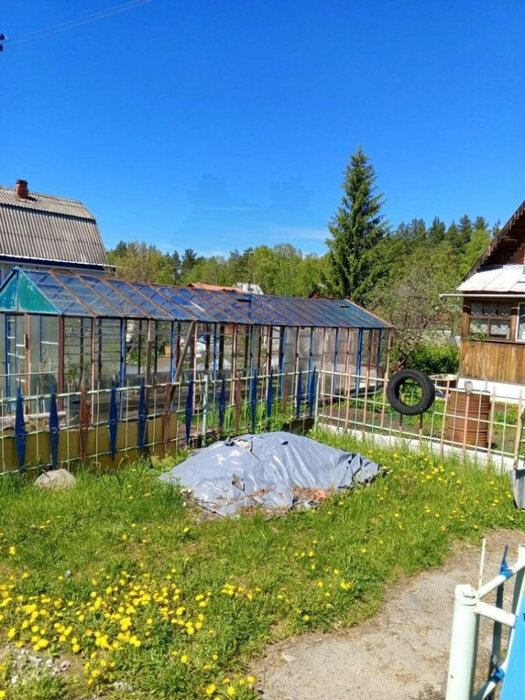 п. Красный, СНТ Солнышко, уч. 138 (городской округ Верхняя Пышма) - фото сада (8)