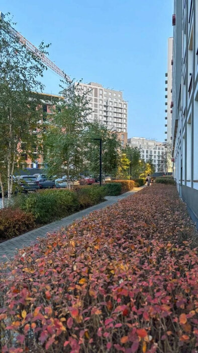 Екатеринбург, ул. Шаумяна, 20 (Юго-Западный) - фото квартиры (3)