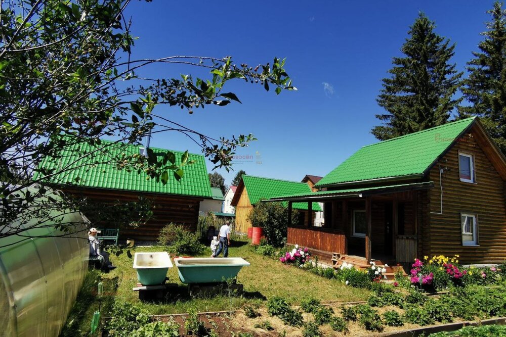 г. Верхняя Пышма, СНТ АО Уралредмет, уч. 1 53 (городской округ Верхняя Пышма) - фото сада (3)