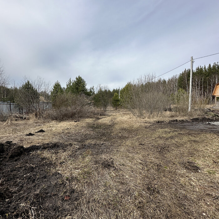 с. Курганово, ул. Рубиновая (городской округ Полевской) - фото земельного участка (8)