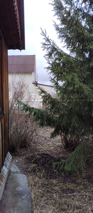 Екатеринбург, СНТ Дорожник, ул. 4-я линия, 164 - фото сада (4)