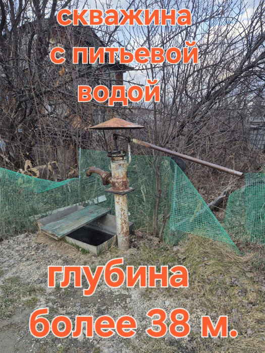 Екатеринбург, СНТ Янтарь - фото сада (5)