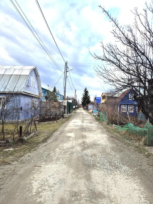 Екатеринбург, СНТ Янтарь - фото сада (6)