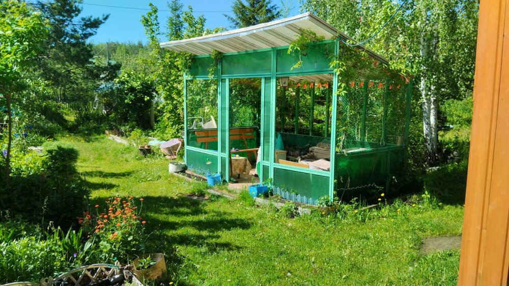 Екатеринбург, СНТ Строймаш - фото сада (5)