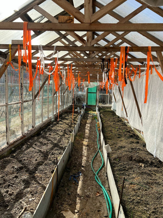 Екатеринбург, СНТ Строймаш - фото сада (7)