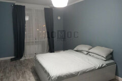 Екатеринбург, ул. Чкалова, 231 (УНЦ) - фото квартиры