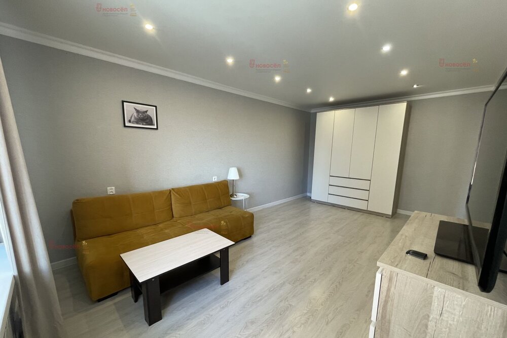 Екатеринбург, ул. Чкалова, 43 (Юго-Западный) - фото квартиры (5)