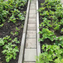 Екатеринбург, СНТ Березка - фото сада (7)