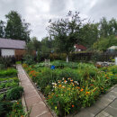Екатеринбург, СНТ Березка - фото сада (8)