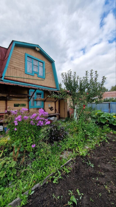 п. Половинный, СНТ Половинка, ул. 3-я, 56 (городской округ Верхняя Пышма) - фото сада (1)