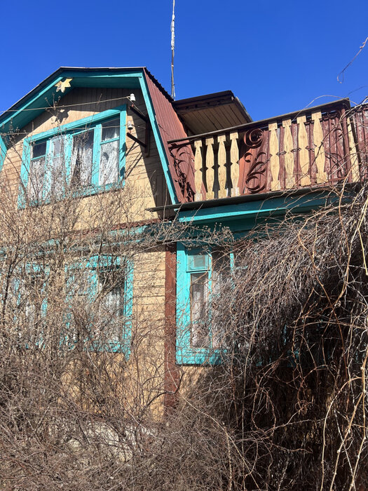 п. Половинный, СНТ Половинка, ул. 3-я, 56 (городской округ Верхняя Пышма) - фото сада (2)