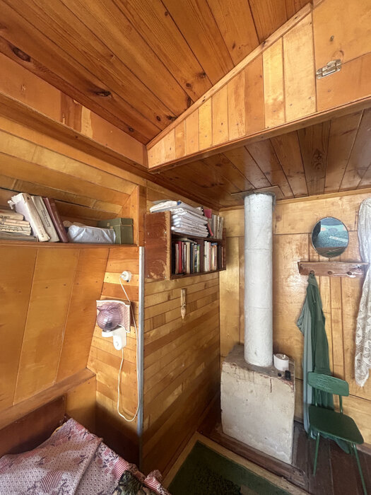 п. Половинный, СНТ Половинка, ул. 3-я, 56 (городской округ Верхняя Пышма) - фото сада (7)