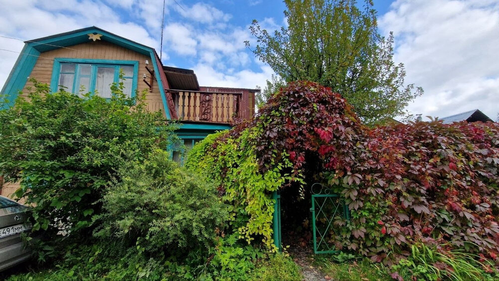 п. Половинный, СНТ Половинка, ул. 3-я, 56 (городской округ Верхняя Пышма) - фото сада (8)