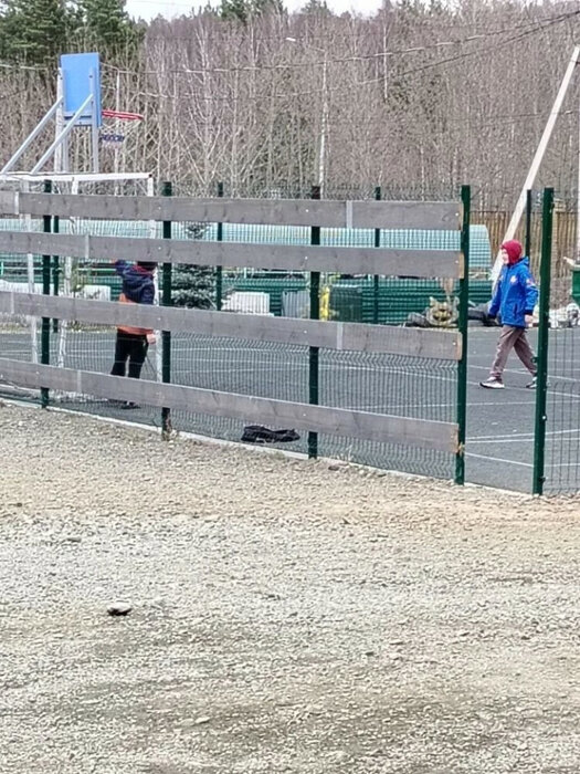 к.п. Шишкино, ул. Смородиновая, 4 (городской округ Березовский) - фото земельного участка (6)