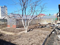 Продажа дома: г. Верхняя Пышма, ул. Сосновая, 25 (городской округ Верхняя Пышма) - Фото 4