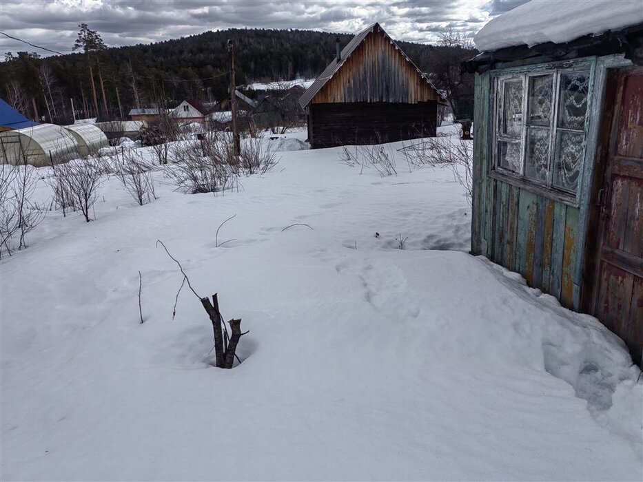г. Дегтярск, садово-огородническое товарищество № 5, уч. 2 (городской округ Город Дегтярск) - фото сада (1)