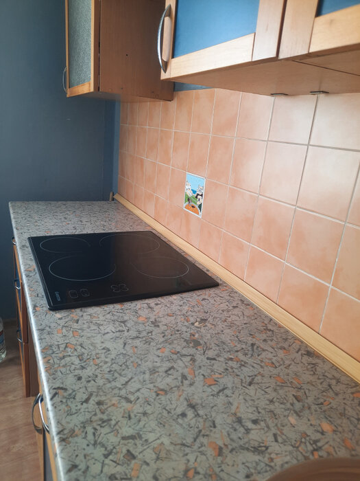 Екатеринбург, ул. Байкальская, 27 (Синие Камни) - фото квартиры (7)