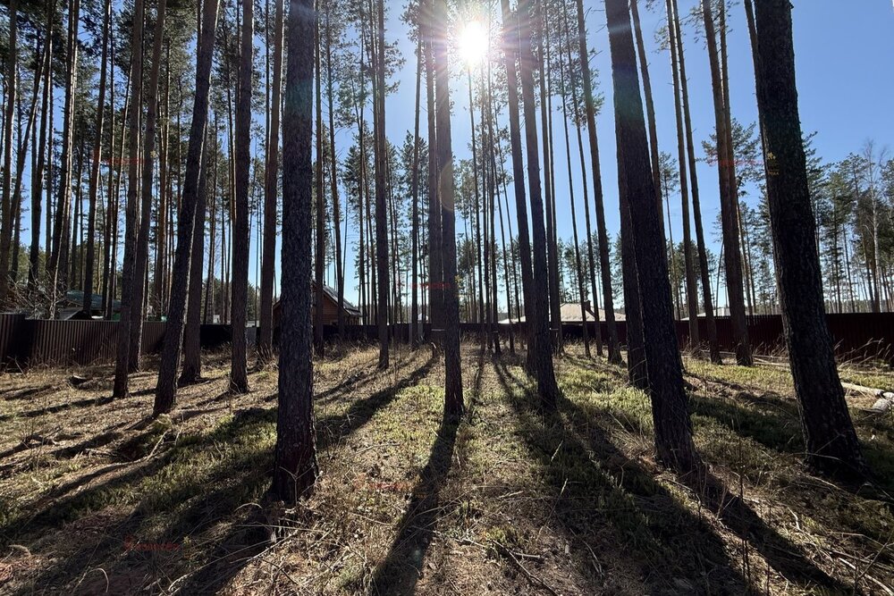 к.п. Заповедник, ул. Барс, 36 (городской округ Сысертский, п. Габиевский) - фото земельного участка (3)