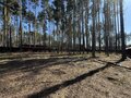 Продажа земельного участка: к.п. Заповедник, ул. Барс, 36 (городской округ Сысертский, п. Габиевский) - Фото 4