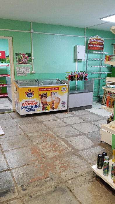 с. Косулино, ул. Виктора Цоя, 9 (городской округ Белоярский) - фото торговой площади (3)