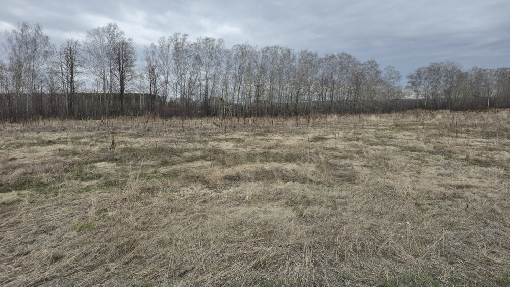 с. Скатинское, к/с Восход, уч.   (городской округ Камышловский) - фото сада (1)