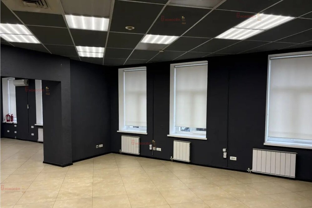 Екатеринбург, ул. Розы Люксембург, 16 (Центр) - фото офисного помещения (6)