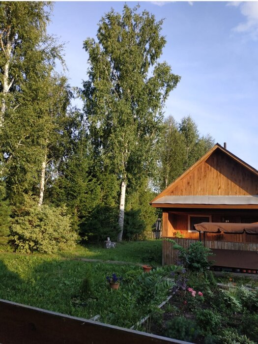 п. Кедровка, СНТ Озёрный (городской округ Березовский) - фото сада (3)