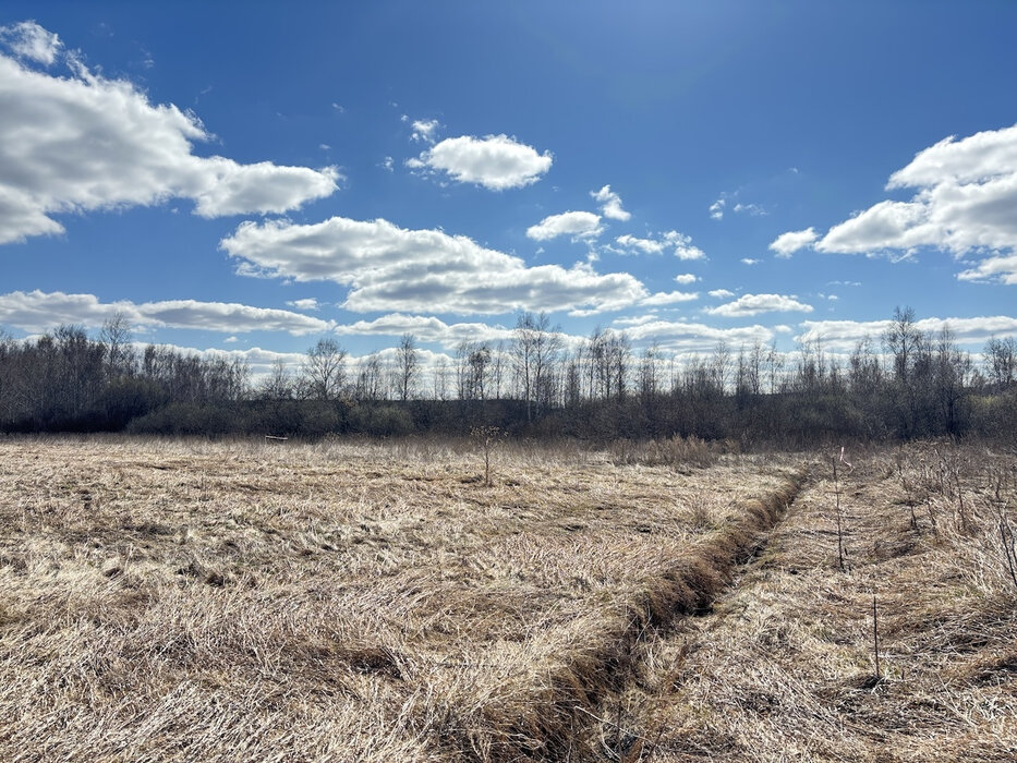 д. Гусева, ул. Петровская, 45 (городской округ Белоярский) - фото земельного участка (6)