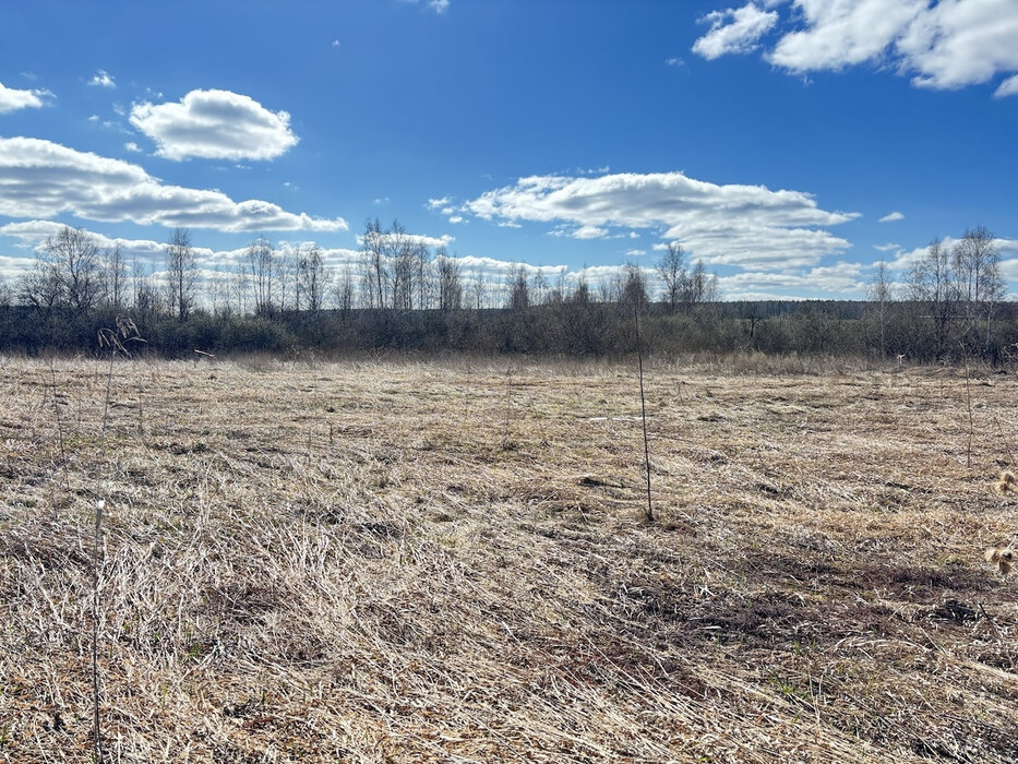 д. Гусева, ул. Петровская, 45 (городской округ Белоярский) - фото земельного участка (7)