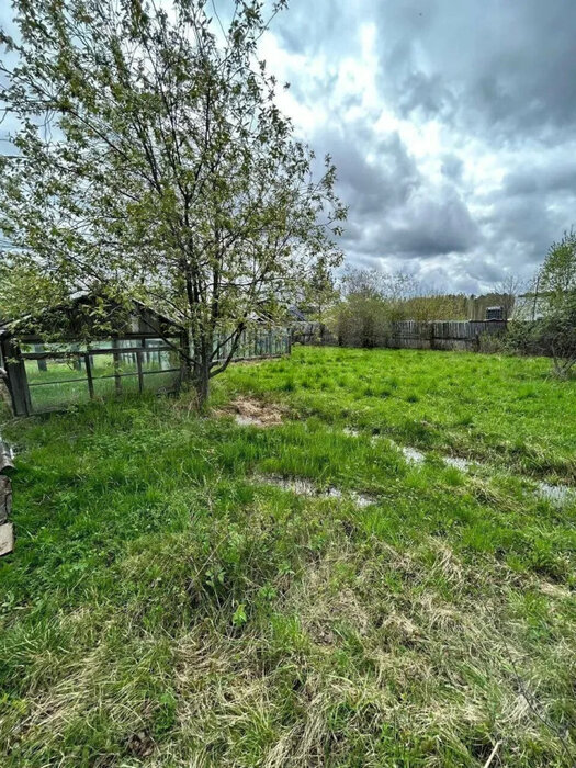 Екатеринбург, к/с  СНТ Вагонник (Старая Сортировка) - фото сада (2)