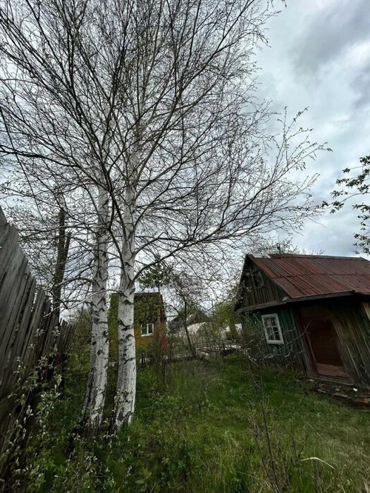 Екатеринбург, к/с  СНТ Вагонник (Старая Сортировка) - фото сада (4)