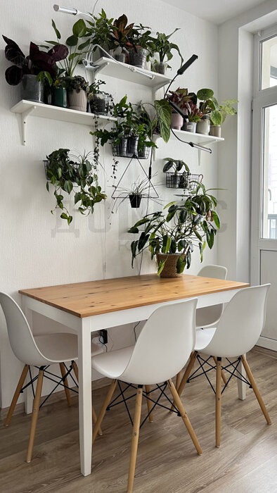 Екатеринбург, ул. Раевского, 20 (Втузгородок) - фото квартиры (3)