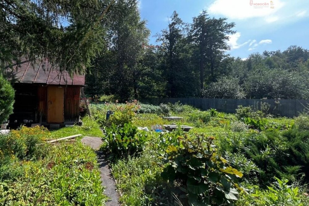 Екатеринбург, коллективный сад Огнеупорщик-Южный, уч. 3-35 - фото сада (1)