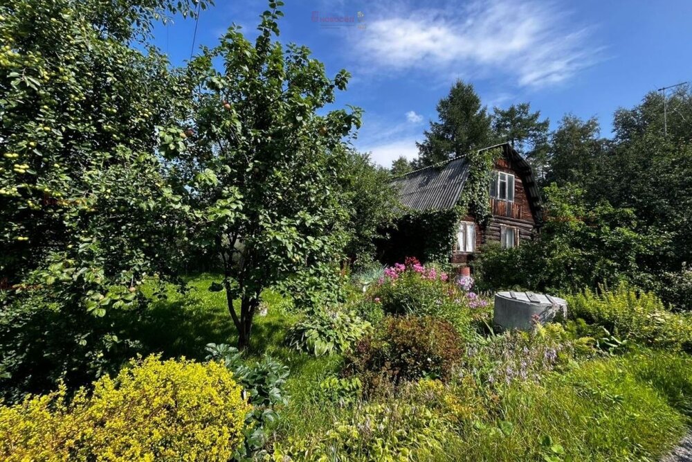 Екатеринбург, коллективный сад Огнеупорщик-Южный, уч. 3-35 - фото сада (2)