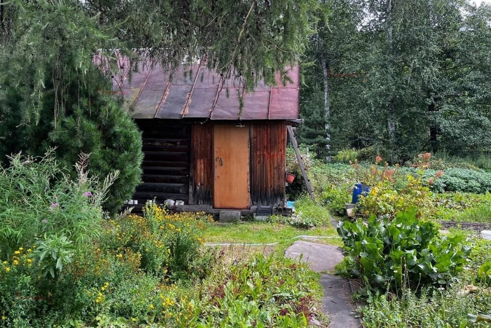 Екатеринбург, коллективный сад Огнеупорщик-Южный, уч. 3-35 - фото сада (3)