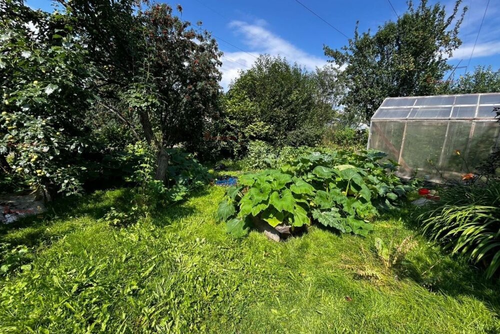 Екатеринбург, коллективный сад Огнеупорщик-Южный, уч. 3-35 - фото сада (4)