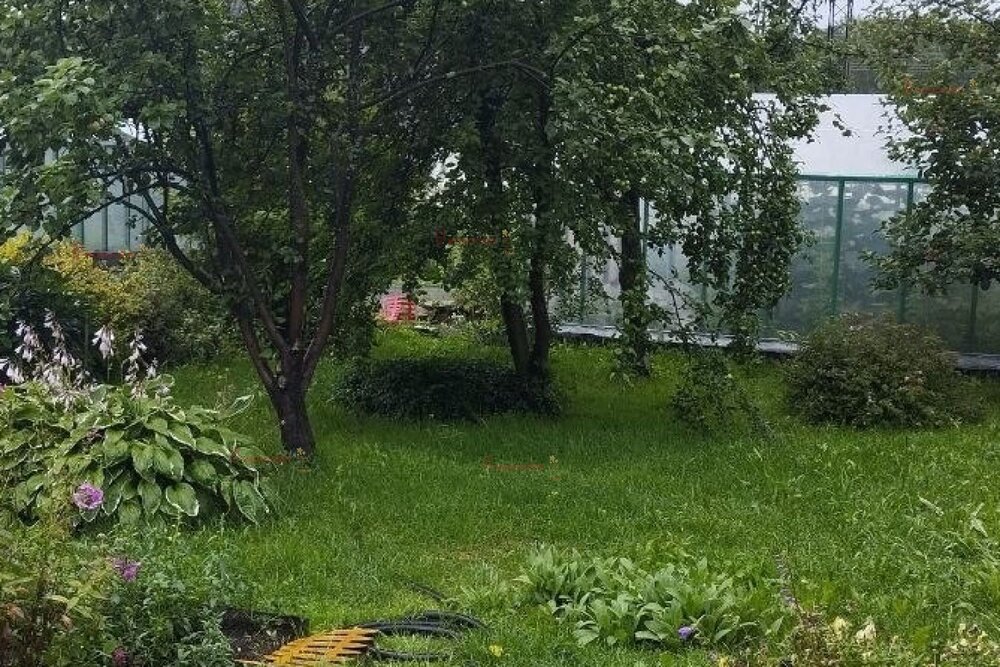 Екатеринбург, коллективный сад Огнеупорщик-Южный, уч. 3-35 - фото сада (5)