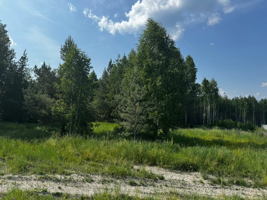 Екатеринбург, ул. Кургановский-2 - фото земельного участка (4)