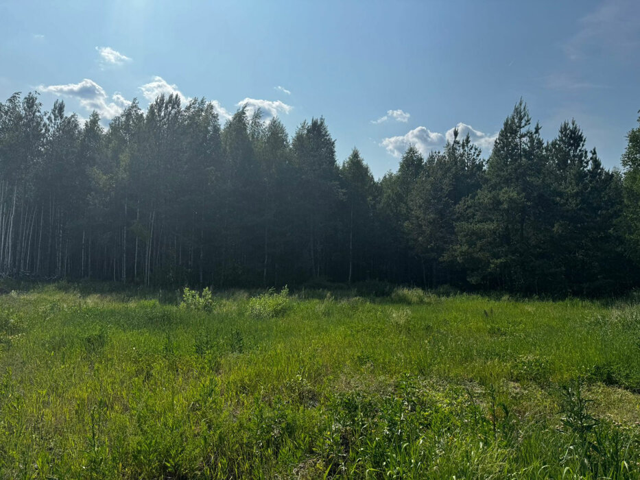 Екатеринбург, ул. Кургановский-2 - фото земельного участка (5)