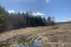 с. Курганово, ул. Урочище Скальничное (городской округ Полевской) - фото земельного участка