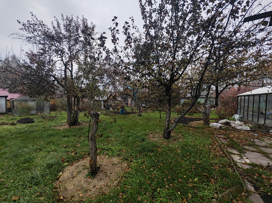 Екатеринбург, садоводческое некоммерческое товарищество Западный-2, 71 - фото сада (4)