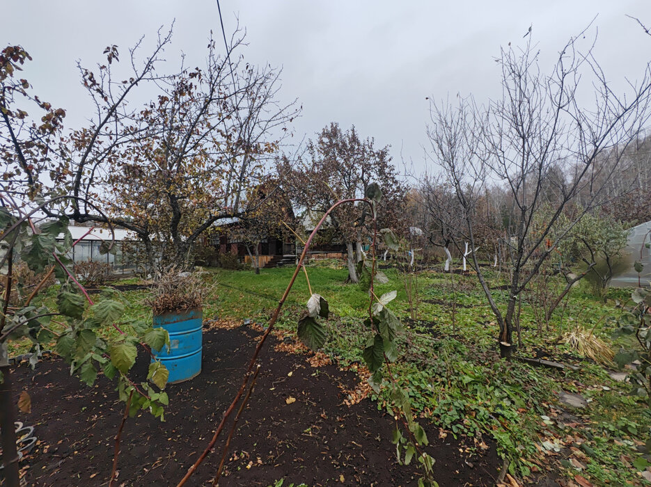 Екатеринбург, садоводческое некоммерческое товарищество Западный-2, 71 - фото сада (6)