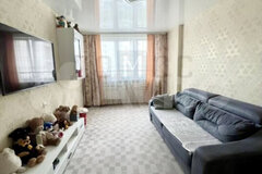 Екатеринбург, ул. Чкалова, 241 (УНЦ) - фото квартиры