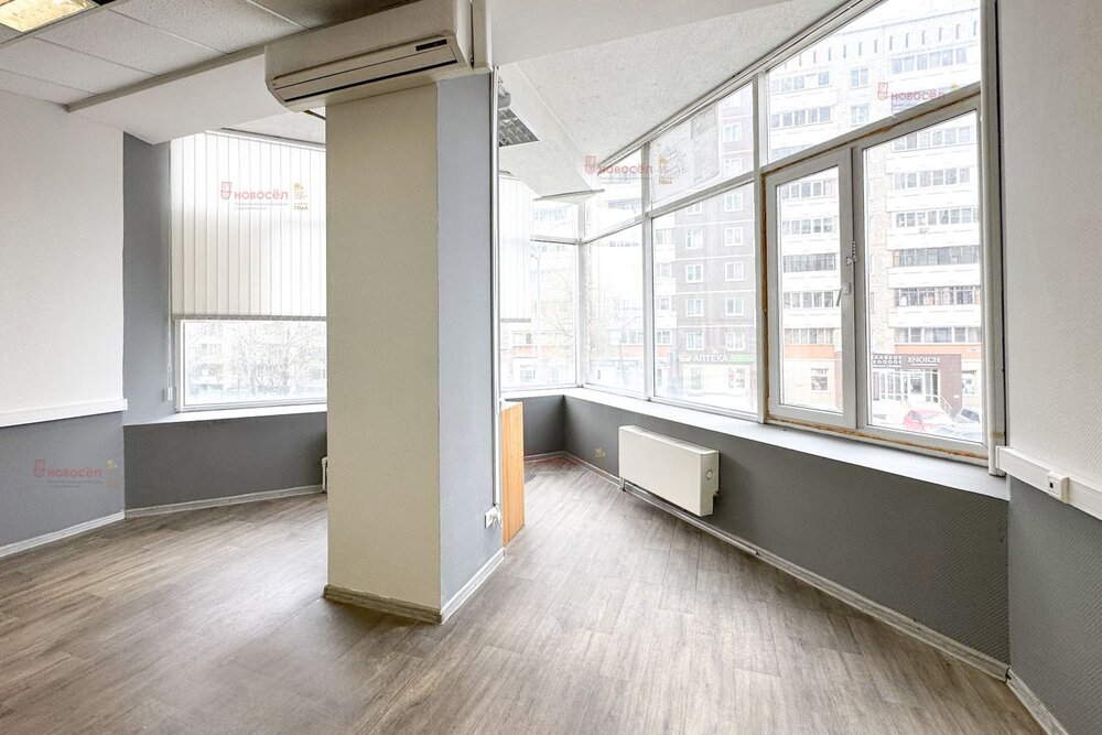 Екатеринбург, ул. Кузнечная, 81 (Центр) - фото офисного помещения (2)