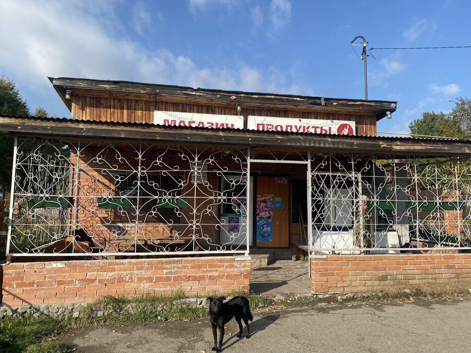 д. Малое Седельниково, ул. Рабочей молодежи, 2б (городской округ Сысертский) - фото торговой площади (1)