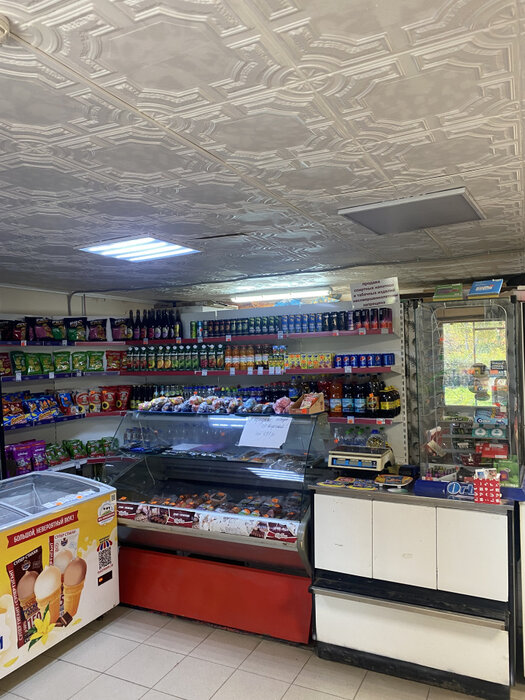 д. Малое Седельниково, ул. Рабочей молодежи, 2б (городской округ Сысертский) - фото торговой площади (3)