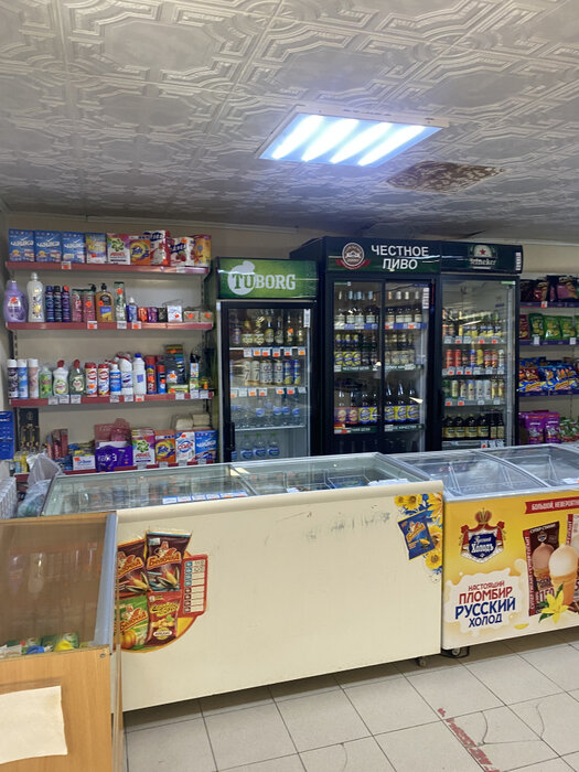 д. Малое Седельниково, ул. Рабочей молодежи, 2б (городской округ Сысертский) - фото торговой площади (4)