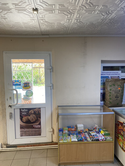 д. Малое Седельниково, ул. Рабочей молодежи, 2б (городской округ Сысертский) - фото торговой площади (5)