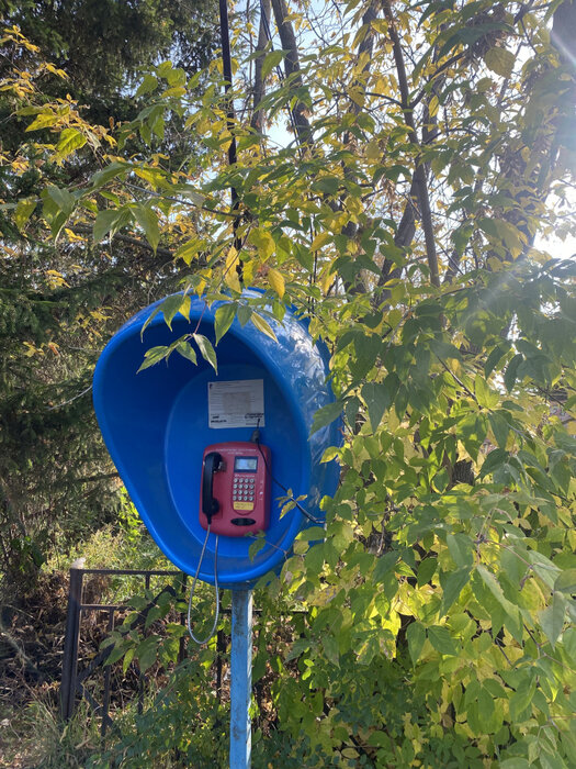 д. Малое Седельниково, ул. Рабочей молодежи, 2б (городской округ Сысертский) - фото торговой площади (7)