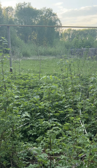 г. Кировград, ул. Сакко и Ванцетти (городской округ Кировградский) - фото земельного участка (7)